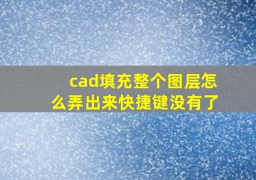 cad填充整个图层怎么弄出来快捷键没有了