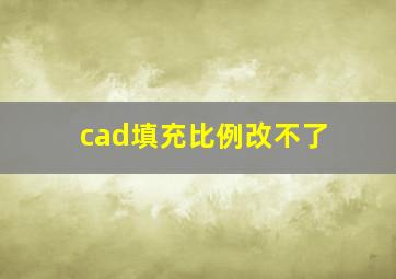 cad填充比例改不了