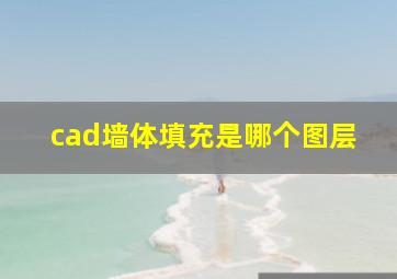 cad墙体填充是哪个图层