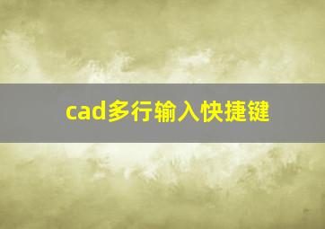 cad多行输入快捷键