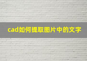 cad如何提取图片中的文字