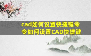 cad如何设置快捷键命令如何设置CAD快捷键