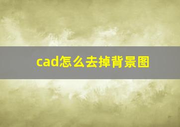 cad怎么去掉背景图