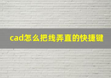 cad怎么把线弄直的快捷键