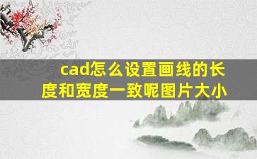 cad怎么设置画线的长度和宽度一致呢图片大小