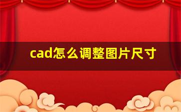 cad怎么调整图片尺寸