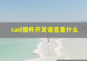 cad插件开发语言是什么