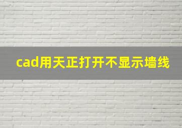 cad用天正打开不显示墙线