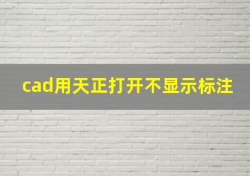 cad用天正打开不显示标注