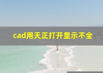 cad用天正打开显示不全