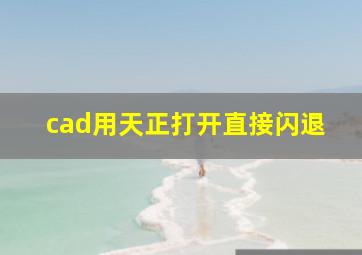 cad用天正打开直接闪退