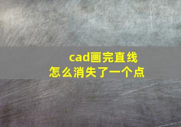 cad画完直线怎么消失了一个点