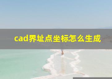 cad界址点坐标怎么生成