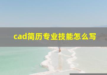 cad简历专业技能怎么写