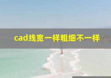 cad线宽一样粗细不一样