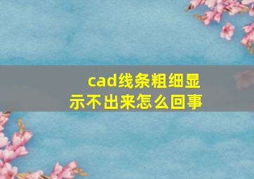 cad线条粗细显示不出来怎么回事