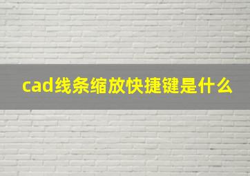 cad线条缩放快捷键是什么