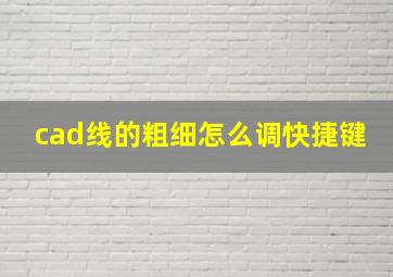 cad线的粗细怎么调快捷键