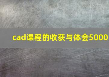 cad课程的收获与体会5000