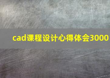 cad课程设计心得体会3000