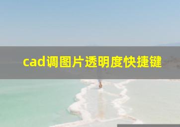 cad调图片透明度快捷键