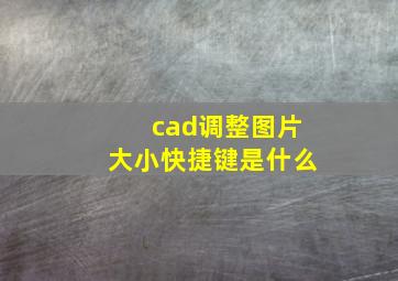 cad调整图片大小快捷键是什么