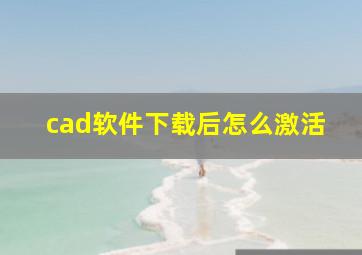 cad软件下载后怎么激活