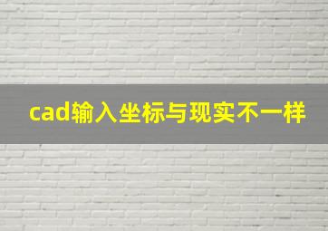 cad输入坐标与现实不一样