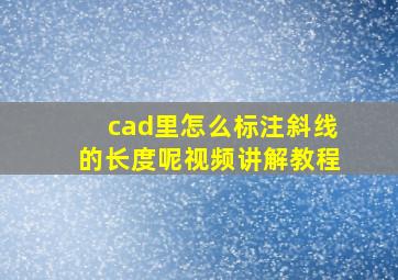 cad里怎么标注斜线的长度呢视频讲解教程