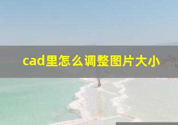 cad里怎么调整图片大小