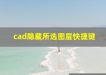 cad隐藏所选图层快捷键