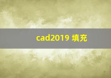 cad2019 填充