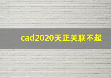 cad2020天正关联不起