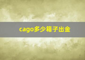 cago多少箱子出金