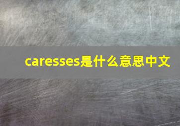 caresses是什么意思中文