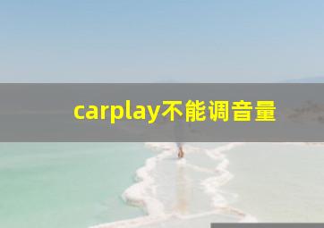 carplay不能调音量