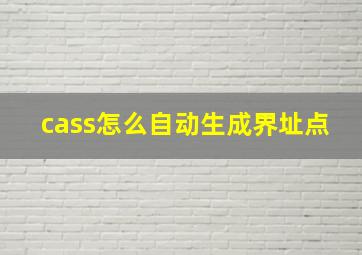 cass怎么自动生成界址点