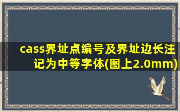 cass界址点编号及界址边长注记为中等字体(图上2.0mm)