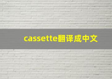 cassette翻译成中文