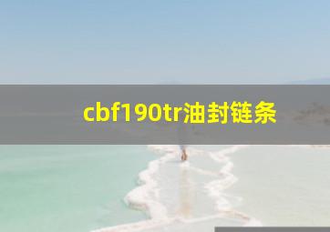 cbf190tr油封链条