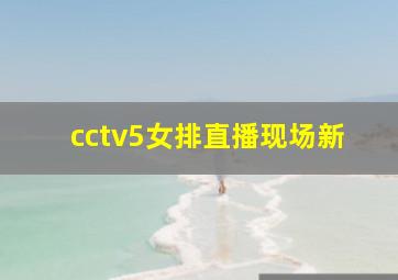 cctv5女排直播现场新