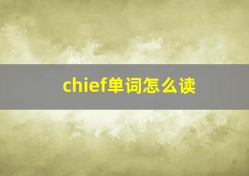 chief单词怎么读