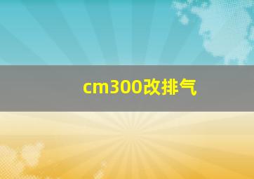 cm300改排气