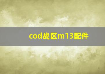 cod战区m13配件