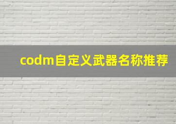 codm自定义武器名称推荐