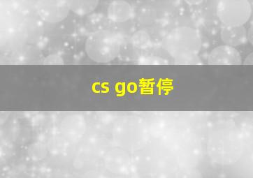 cs go暂停