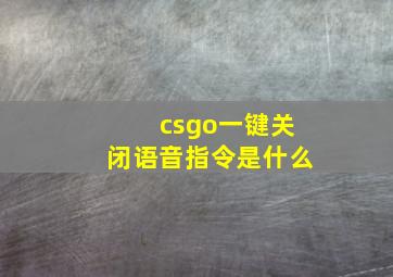 csgo一键关闭语音指令是什么