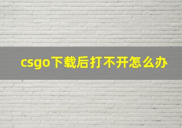 csgo下载后打不开怎么办