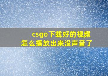 csgo下载好的视频怎么播放出来没声音了