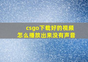 csgo下载好的视频怎么播放出来没有声音